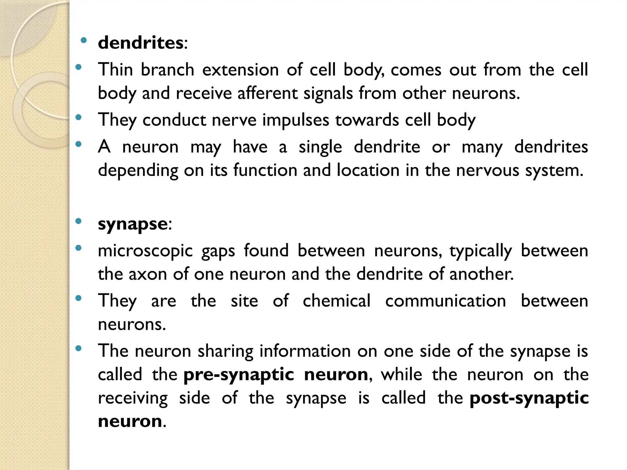  dendrites:
 Thin branch extension of cell body, comes out from the cell
body and receive afferent signals from other neurons.
 They conduct nerve impulses towards cell body
 A neuron may have a single dendrite or many dendrites
depending on its function and location in the nervous system.
 synapse:
 microscopic gaps found between neurons, typically between
the axon of one neuron and the dendrite of another.
 They are the site of chemical communication between
neurons.
 The neuron sharing information on one side of the synapse is
called the pre-synaptic neuron, while the neuron on the
receiving side of the synapse is called the post-synaptic
neuron.
 
