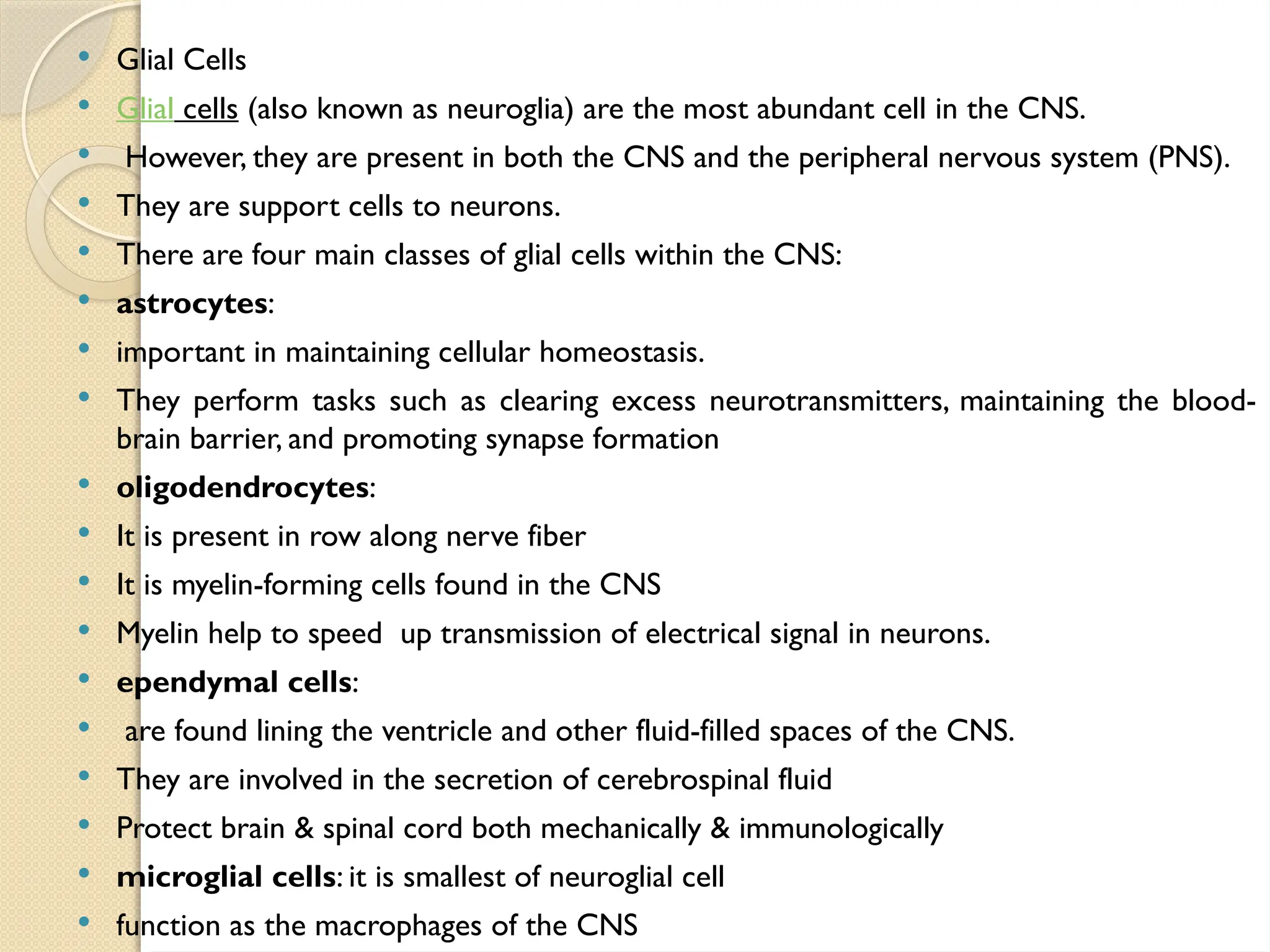  Glial Cells
 Glial cells (also known as neuroglia) are the most abundant cell in the CNS.
 However, they are present in both the CNS and the peripheral nervous system (PNS).
 They are support cells to neurons.
 There are four main classes of glial cells within the CNS:
 astrocytes:
 important in maintaining cellular homeostasis.
 They perform tasks such as clearing excess neurotransmitters, maintaining the blood-
brain barrier, and promoting synapse formation
 oligodendrocytes:
 It is present in row along nerve fiber
 It is myelin-forming cells found in the CNS
 Myelin help to speed up transmission of electrical signal in neurons.
 ependymal cells:
 are found lining the ventricle and other fluid-filled spaces of the CNS.
 They are involved in the secretion of cerebrospinal fluid
 Protect brain & spinal cord both mechanically & immunologically
 microglial cells: it is smallest of neuroglial cell
 function as the macrophages of the CNS
 