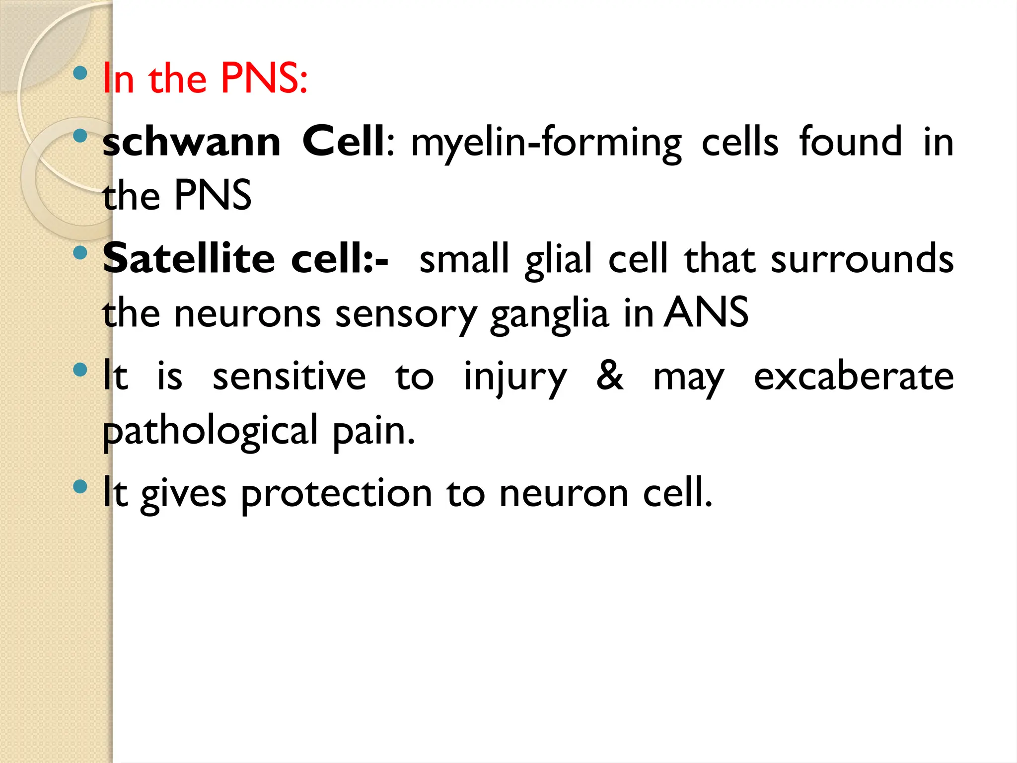  In the PNS:
 schwann Cell: myelin-forming cells found in
the PNS
 Satellite cell:- small glial cell that surrounds
the neurons sensory ganglia in ANS
 It is sensitive to injury & may excaberate
pathological pain.
 It gives protection to neuron cell.
 