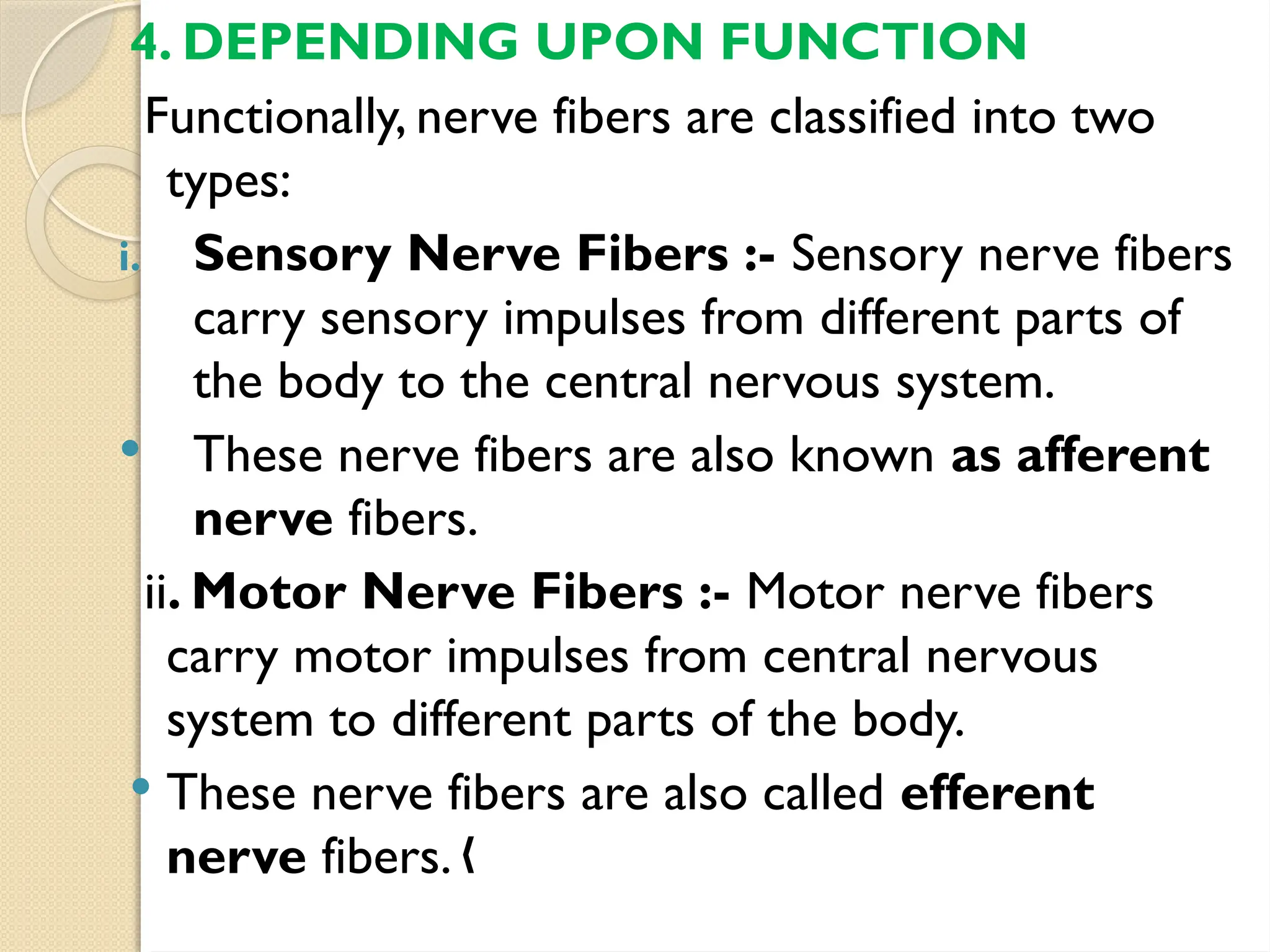 4. DEPENDING UPON FUNCTION
Functionally, nerve fibers are classified into two
types:
i. Sensory Nerve Fibers :- Sensory nerve fibers
carry sensory impulses from different parts of
the body to the central nervous system.
 These nerve fibers are also known as afferent
nerve fibers.
ii. Motor Nerve Fibers :- Motor nerve fibers
carry motor impulses from central nervous
system to different parts of the body.
 These nerve fibers are also called efferent
nerve fibers. „
 