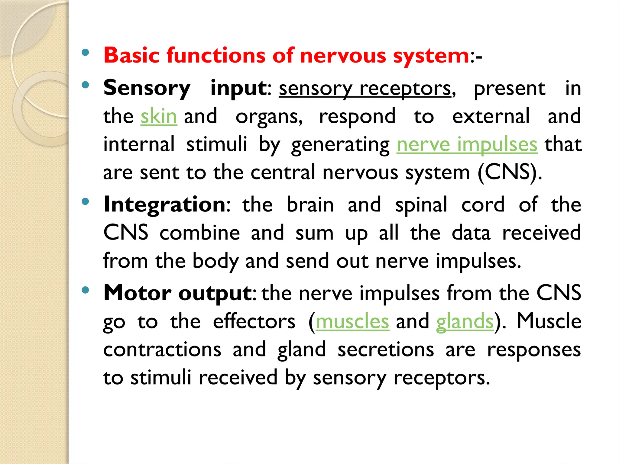  Basic functions of nervous system:-
 Sensory input: sensory receptors, present in
the skin and organs, respond to external and
internal stimuli by generating nerve impulses that
are sent to the central nervous system (CNS).
 Integration: the brain and spinal cord of the
CNS combine and sum up all the data received
from the body and send out nerve impulses.
 Motor output: the nerve impulses from the CNS
go to the effectors (muscles and glands). Muscle
contractions and gland secretions are responses
to stimuli received by sensory receptors.
 