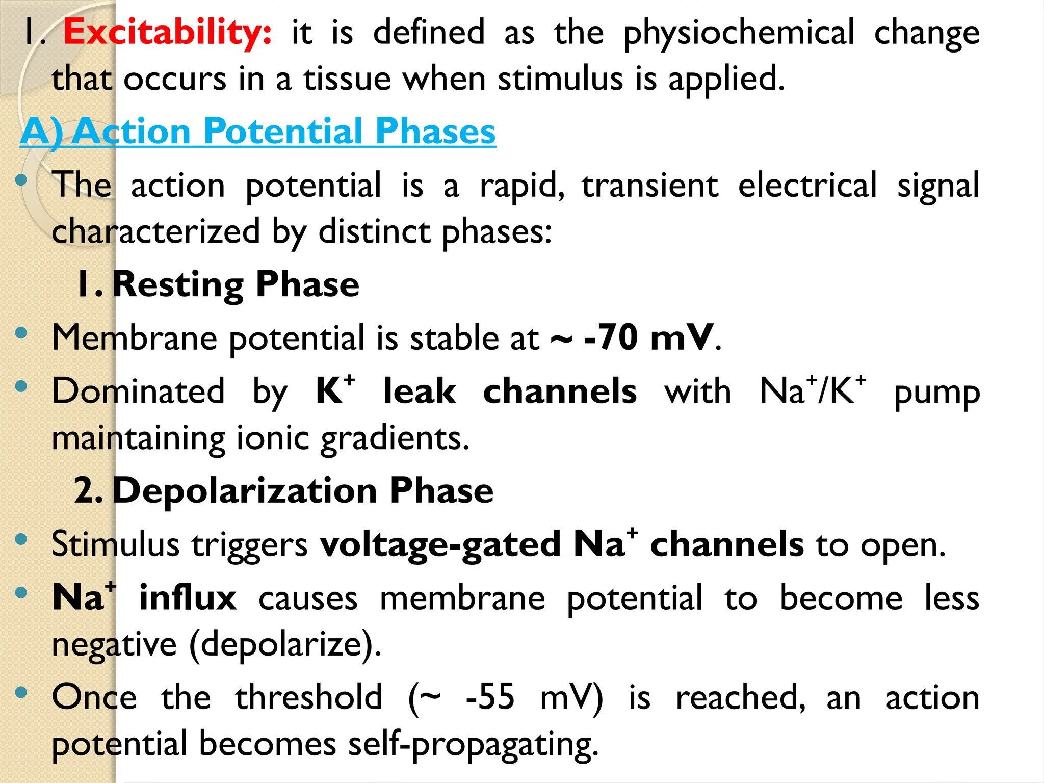 1. Excitability: it is defined as the physiochemical change
that occurs in a tissue when stimulus is applied.
A) Action Potential Phases
 The action potential is a rapid, transient electrical signal
characterized by distinct phases:
1. Resting Phase
 Membrane potential is stable at ~ -70 mV.
 Dominated by K leak channels
⁺ with Na /K pump
⁺ ⁺
maintaining ionic gradients.
2. Depolarization Phase
 Stimulus triggers voltage-gated Na channels
⁺ to open.
 Na influx
⁺ causes membrane potential to become less
negative (depolarize).
 Once the threshold (~ -55 mV) is reached, an action
potential becomes self-propagating.
 
