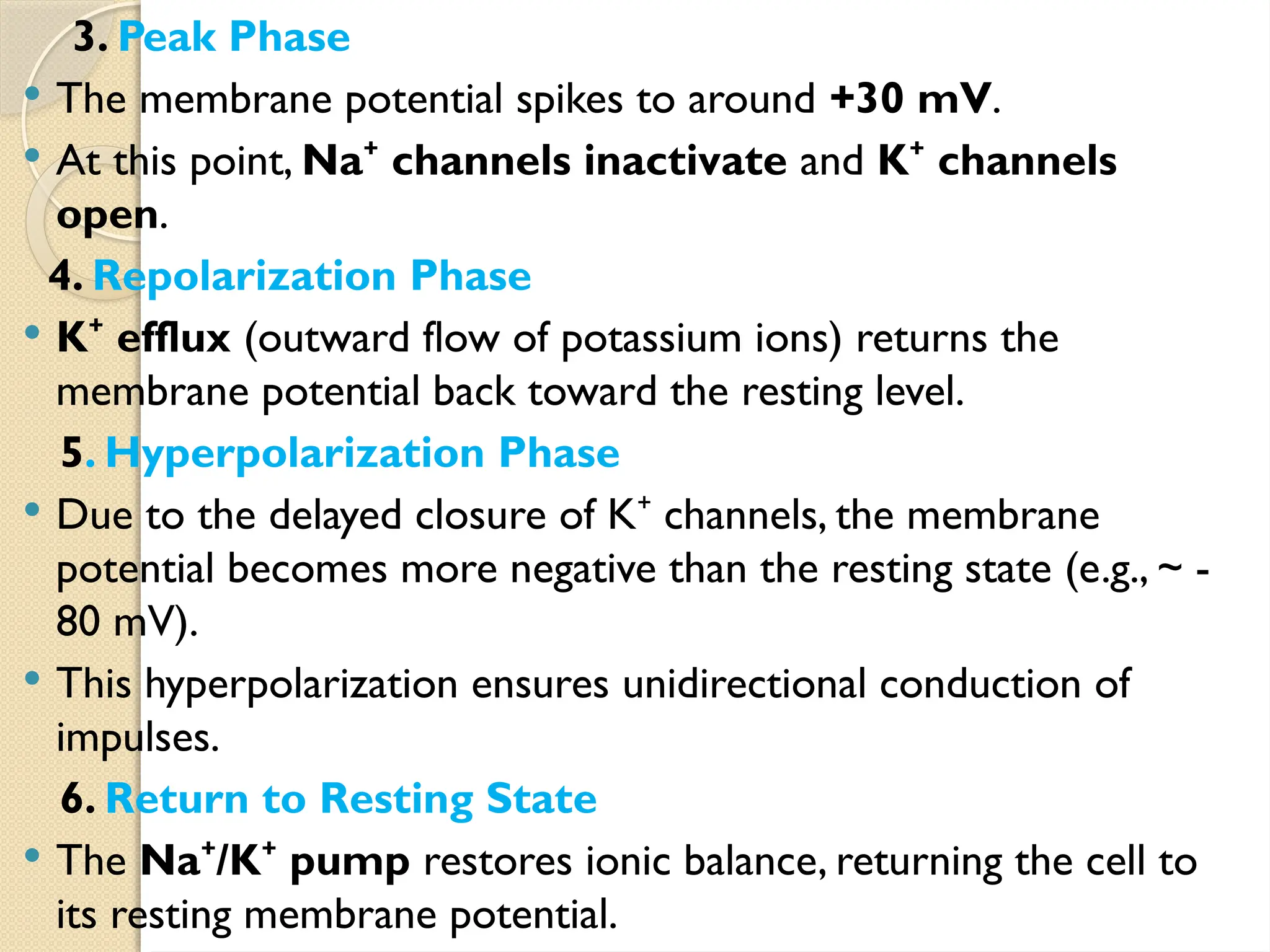 3. Peak Phase
 The membrane potential spikes to around +30 mV.
 At this point, Na channels inactivate
⁺ and K channels
⁺
open.
4. Repolarization Phase
 K efflux
⁺ (outward flow of potassium ions) returns the
membrane potential back toward the resting level.
5. Hyperpolarization Phase
 Due to the delayed closure of K channels, the membrane
⁺
potential becomes more negative than the resting state (e.g., ~ -
80 mV).
 This hyperpolarization ensures unidirectional conduction of
impulses.
6. Return to Resting State
 The Na /K pump
⁺ ⁺ restores ionic balance, returning the cell to
its resting membrane potential.
 