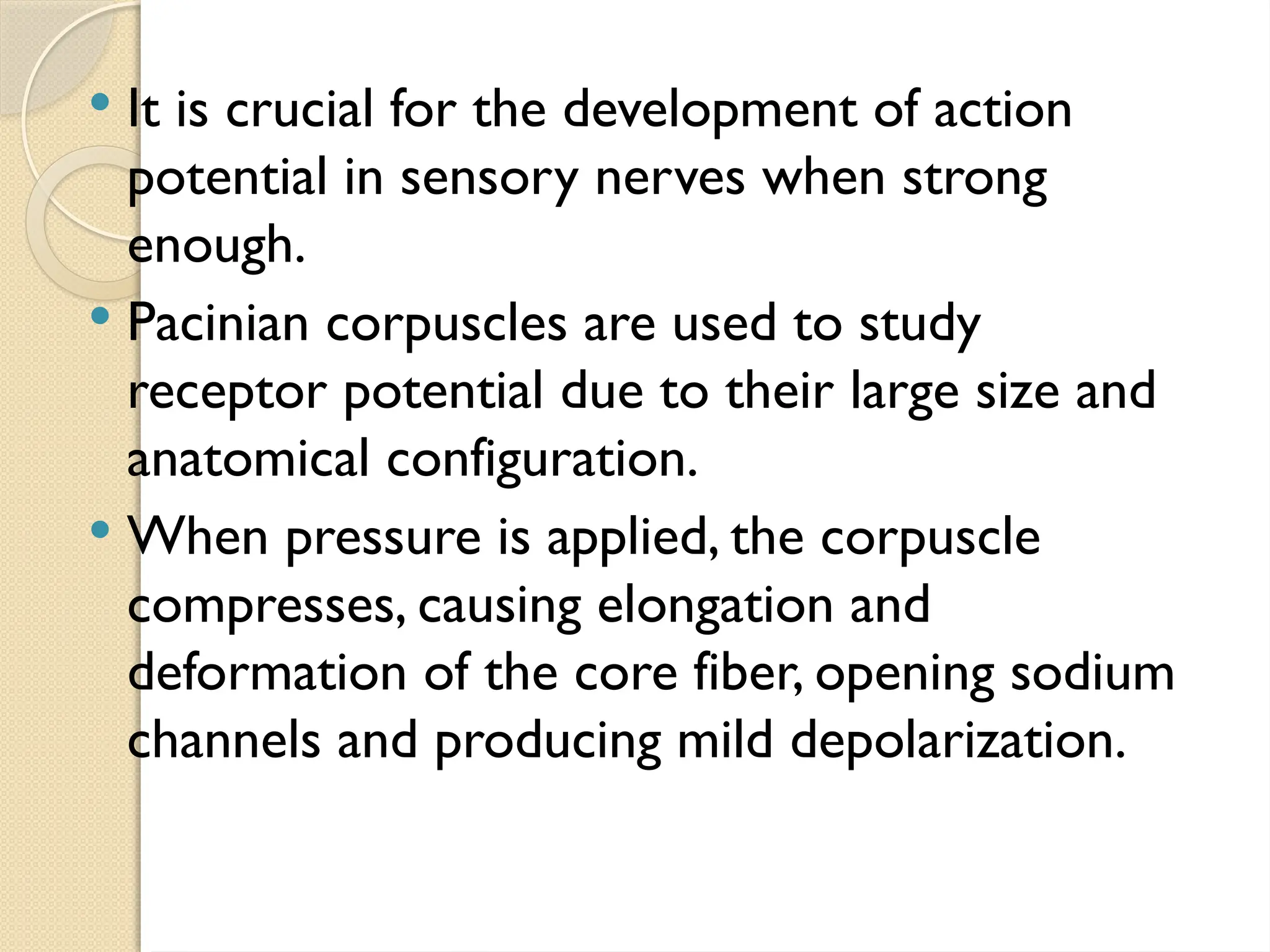  It is crucial for the development of action
potential in sensory nerves when strong
enough.
 Pacinian corpuscles are used to study
receptor potential due to their large size and
anatomical configuration.
 When pressure is applied, the corpuscle
compresses, causing elongation and
deformation of the core fiber, opening sodium
channels and producing mild depolarization.
 