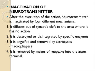  INACTIVATION OF
NEUROTRANSMITTER
 After the execution of the action, neurotransmitter
is inactivated by four different mechanisms:
1. It diffuses out of synaptic cleft to the area where it
has no action
2. It is destroyed or disintegrated by specific enzymes
3. It is engulfed and removed by astrocytes
(macrophages)
4. It is removed by means of reuptake into the axon
terminal.
 
