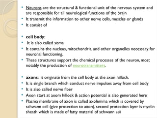  Neurons are the structural & functional unit of the nervous system and
are responsible for all neurological functions of the brain
 It transmit the information to other nerve cells, muscles or glands
 It consist of
 cell body:
 It is also called soma
 It contains the nucleus, mitochondria, and other organelles necessary for
neuronal functioning.
 These structures support the chemical processes of the neuron, most
notably the production of neurotransmitters.
 axons: it originate from the cell body at the axon hillock.
 It is single branch which conduct nerve impulses away from cell body
 It is also called nerve fiber
 Axon start at axom hillock & action potential is also generated here
 Plasma membrane of axon is called axolemma which is covered by
schwann cell (give protection to axon), second protection layer is myelin
sheath which is made of fatty material of schwann cell
 