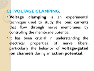 C) VOLTAGE CLAMPING
„ :
 Voltage clamping is an experimental
technique used to study the ionic currents
that flow through nerve membranes by
controlling the membrane potential.
 It has been crucial in understanding the
electrical properties of nerve fibers,
particularly the behavior of voltage-gated
ion channels during an action potential.
 