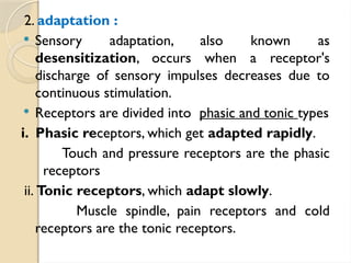2. adaptation :
 Sensory adaptation, also known as
desensitization, occurs when a receptor's
discharge of sensory impulses decreases due to
continuous stimulation.
 Receptors are divided into phasic and tonic types
i. Phasic receptors, which get adapted rapidly.
Touch and pressure receptors are the phasic
receptors
ii. Tonic receptors, which adapt slowly.
Muscle spindle, pain receptors and cold
receptors are the tonic receptors.
 