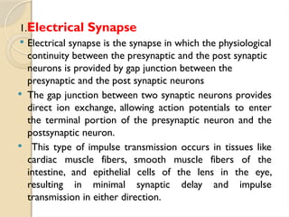 1.Electrical Synapse
 Electrical synapse is the synapse in which the physiological
continuity between the presynaptic and the post synaptic
neurons is provided by gap junction between the
presynaptic and the post synaptic neurons
 The gap junction between two synaptic neurons provides
direct ion exchange, allowing action potentials to enter
the terminal portion of the presynaptic neuron and the
postsynaptic neuron.
 This type of impulse transmission occurs in tissues like
cardiac muscle fibers, smooth muscle fibers of the
intestine, and epithelial cells of the lens in the eye,
resulting in minimal synaptic delay and impulse
transmission in either direction.
 