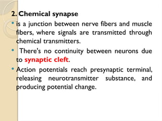 2. Chemical synapse
 is a junction between nerve fibers and muscle
fibers, where signals are transmitted through
chemical transmitters.
 There's no continuity between neurons due
to synaptic cleft.
 Action potentials reach presynaptic terminal,
releasing neurotransmitter substance, and
producing potential change.
 