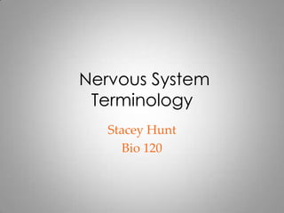 Nervous System
 Terminology
   Stacey Hunt
      Bio 120
 