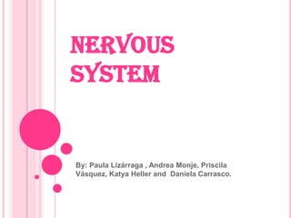 NERVOUS
SYSTEM
By: Paula Lizárraga , Andrea Monje, Priscila
Vásquez, Katya Heller and Daniela Carrasco.
 