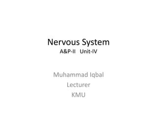 Nervous System
A&P-II Unit-IV
Muhammad Iqbal
Lecturer
KMU
 