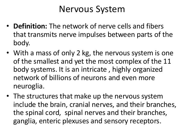 structure of neuron