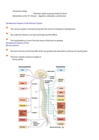Conserves energy
Maintains daily necessary body functions
Remember as the “D” division - digestion, defecation, and diuresis
Development Aspects of the Nervous System
• The nervous system is formed during the first month of embryonic development
• Any maternal infection can have extremely harmful effects
• The hypothalamus is one of the last areas of the brain to develop
Development Aspects of the
Nervous System
• No more neurons are formed after birth, but growth and maturation continues for several years
• The brain reaches maximum weight in
Young adults
 