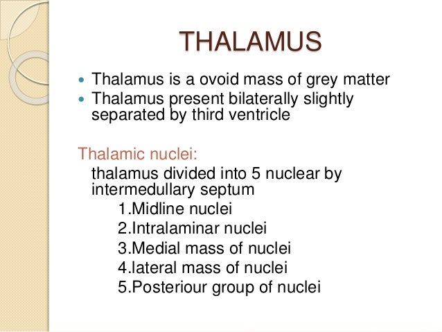 THALAMUS PHYSIOLOGY PDF DOWNLOAD THALAMUS PHYSIOLOGY PDF DOWNLOAD