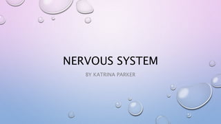 NERVOUS SYSTEM
BY KATRINA PARKER
 