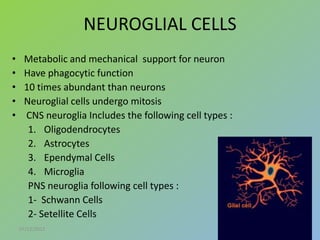 Nervous tissue (Histology) | PPT