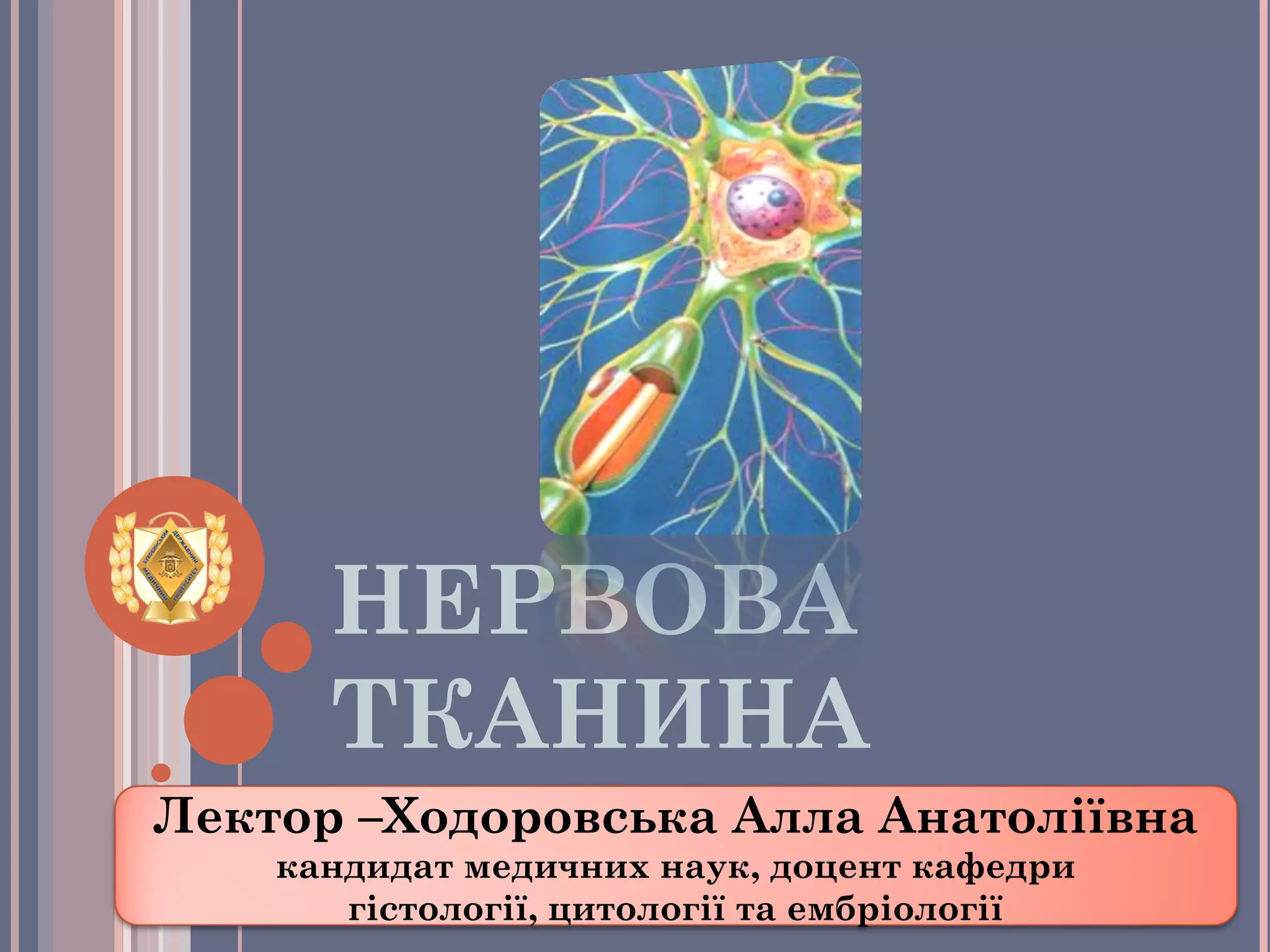 Histology of the Nervous tissue | PPT