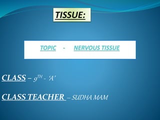 CLASS – 9TH - ‘A’
CLASS TEACHER – SUDHA MAM
TISSUE:
 