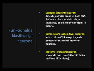 Funkcionalna
klasifikacija
neurona
• Senzorni (aferenti) neuroni -
detektuju draži i prenose ih do CNS.
Počinju u bilo kom delu tela, a
završavaju se u kičmenoj moždini ili
mozgu.
• Interneuroni (asociajtivni ) neuroni
leže u celom CNS, uloga im je da
povezuju senzornre i motorne
neurone.
• Motorni (eferentni) neuroni -
sprovode draži do efektornih ćelija
(mišićne ili žlezdane).
 