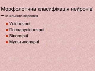 Морфологічна класифікація нейронів
– за кількістю відростків
 Уніполярні
 Псевдоуніполярні
 Біполярні
 Мультиполярні
 