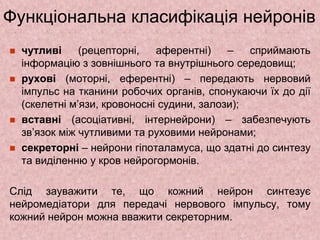 Функціональна класифікація нейронів
 чутливі (рецепторні, аферентні) – сприймають
інформацію з зовнішнього та внутрішнього середовищ;
 рухові (моторні, еферентні) – передають нервовий
імпульс на тканини робочих органів, спонукаючи їх до дії
(скелетні м’язи, кровоносні судини, залози);
 вставні (асоціативні, інтернейрони) – забезпечують
зв’язок між чутливими та руховими нейронами;
 секреторні – нейрони гіпоталамуса, що здатні до синтезу
та виділенню у кров нейрогормонів.
Слід зауважити те, що кожний нейрон синтезує
нейромедіатори для передачі нервового імпульсу, тому
кожний нейрон можна вважити секреторним.
 