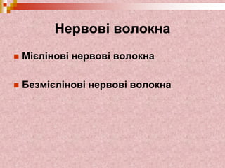 Нервові волокна
 Мієлінові нервові волокна
 Безмієлінові нервові волокна
 