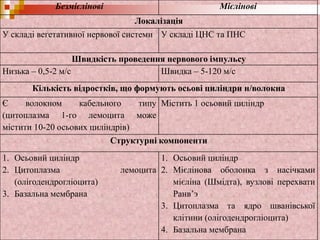 Безмієлінові Мієлінові
Локалізація
У складі вегетативної нервової системи У складі ЦНС та ПНС
Швидкість проведення нервового імпульсу
Низька – 0,5-2 м/с Швидка – 5-120 м/с
Кількість відростків, що формують осьові циліндри н/волокна
Є волокном кабельного типу
(цитоплазма 1-го лемоцита може
містити 10-20 осьових циліндрів)
Містить 1 осьовий циліндр
Структурні компоненти
1. Осьовий циліндр
2. Цитоплазма лемоцита
(олігодендрогліоцита)
3. Базальна мембрана
1. Осьовий циліндр
2. Мієлінова оболонка з насічками
мієліна (Шмідта), вузлові перехвати
Ранв’э
3. Цитоплазма та ядро шванівської
клітини (олігодендрогліоцита)
4. Базальна мембрана
 