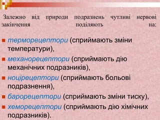 Залежно від природи подразнень чутливі нервові
закінчення поділяють на:
 терморецептори (сприймають зміни
температури),
 механорецептори (сприймають дію
механічних подразників),
 ноцірецептори (сприймають больові
подразнення),
 барорецептори (сприймають зміни тиску),
 хеморецептори (сприймають дію хімічних
подразників).
 