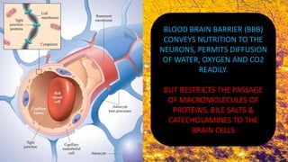 HISTOLOGY OF NERVOUS TISSUE - PART 1 | PPTX