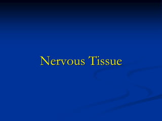 Nervous Tissue
 