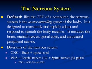 Nervous Tissue.pptx