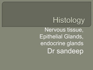 Nervous tissue,
Epithelial Glands,
endocrine glands
Dr sandeep
 