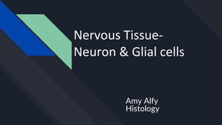 Nervous Tissue-
Neuron & Glial cells
Amy Alfy
Histology
 