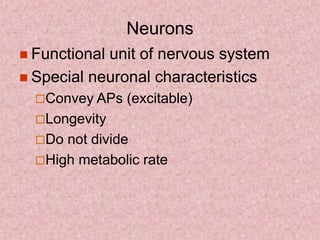 Neurons
 Functional unit of nervous system
 Special neuronal characteristics
Convey APs (excitable)
Longevity
Do not divide
High metabolic rate
 