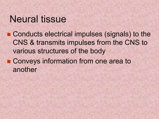  Conducts electrical impulses (signals) to the
CNS & transmits impulses from the CNS to
various structures of the body
 Conveys information from one area to
another
Neural tissue
 
