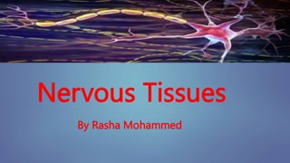 Nervous Tissues
By Rasha Mohammed
 