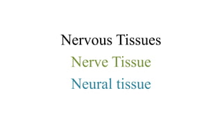Nervous Tissues
Nerve Tissue
Neural tissue
 