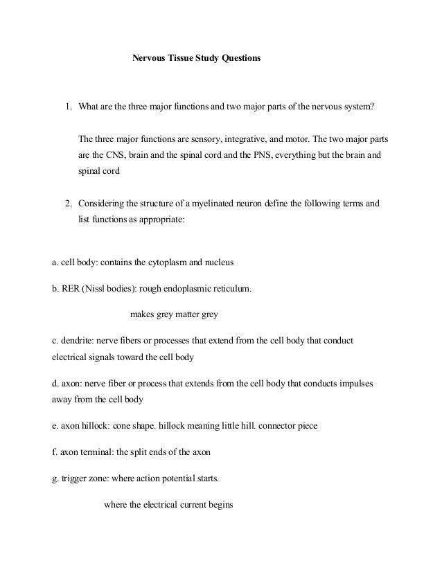 Nervous tissue study_questions