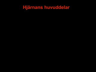 Hjärnans huvuddelar




                      8
 