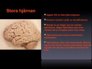 Stora hjärnan
                  Upptar 4/5 av hela hjärnvolymen.

                  Extremt veckad i syfte av att ytförstoras.

                  Består av en höger och en vänster
                hjärnhalva. Höger hjärnhalva styr över
                vänster del av kroppen samt vice versa.

                   Hjärnhalvornas intryck samordnas i
                hjärnbalken.
                                        Text
                   Hjärnbarken sitter ditt medvetande. Minnen
                lagras och sinnes intryck samordnas samt att
                signaler för att styra musklerna skickas här
                ifrån.




                                                9
 
