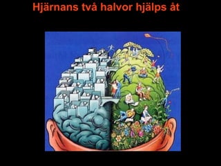 Hjärnans två halvor hjälps åt
 