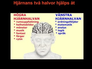 Hjärnans två halvor hjälps åt
 