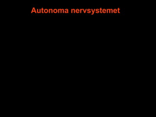 Autonoma nervsystemet
 