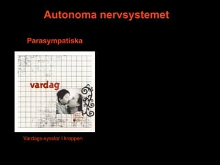 Autonoma nervsystemet

 Parasympatiska




Vardags-sysslor i kroppen
 