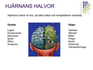 HJÄRNANS HALVOR 
Hjärnans halvor är bra på olika saker och kompletterar varandra 
Vänster 
Logisk 
Komponenter 
Sekvenser 
Språk 
Siffror 
Analysera 
Höger 
Helheter 
Mönster 
Bilder 
Färger 
Musik 
Kreativitet 
Inlevelseförmåga 
 