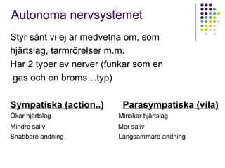 Autonoma nervsystemet 
Styr sånt vi ej är medvetna om, som 
hjärtslag, tarmrörelser m.m. 
Har 2 typer av nerver (funkar som en 
gas och en broms…typ) 
Sympatiska (action..) Parasympatiska (vila) 
Ökar hjärtslag Minskar hjärtslag 
Mindre saliv Mer saliv 
Snabbare andning Långsammare andning 
 