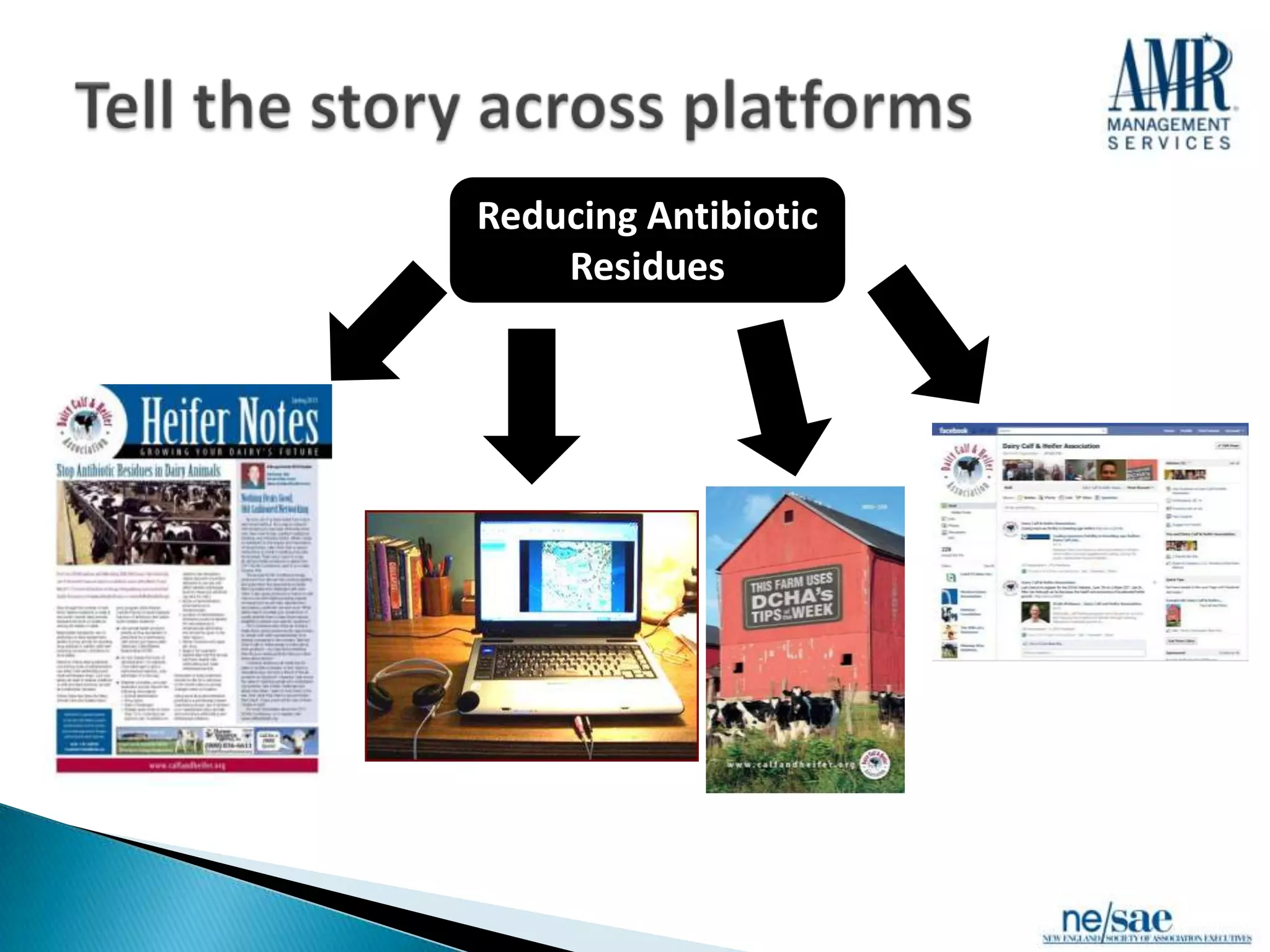 Reducing Antibiotic
    Residues
 