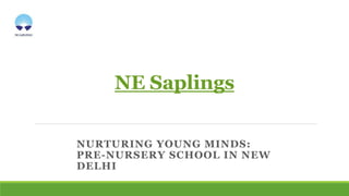 NE Saplings
NURTURING YOUNG MINDS:
PRE-NURSERY SCHOOL IN NEW
DELHI
 